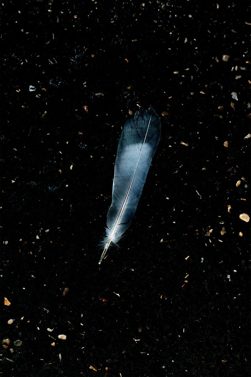 © Alessandra Book - Image from the Parioli Pockets photography project