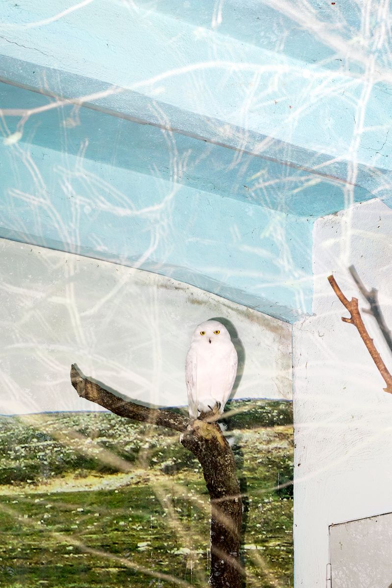 © Alessandra Book - Image from the Parioli Pockets photography project