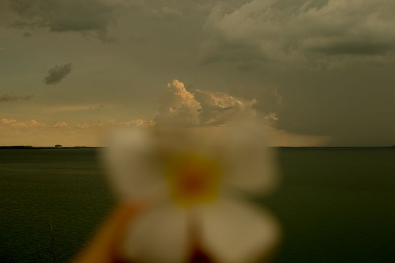 © Abigail  Varney  - Image from the The build up photography project