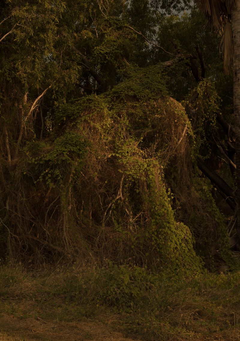 © Abigail  Varney  - Image from the The build up photography project