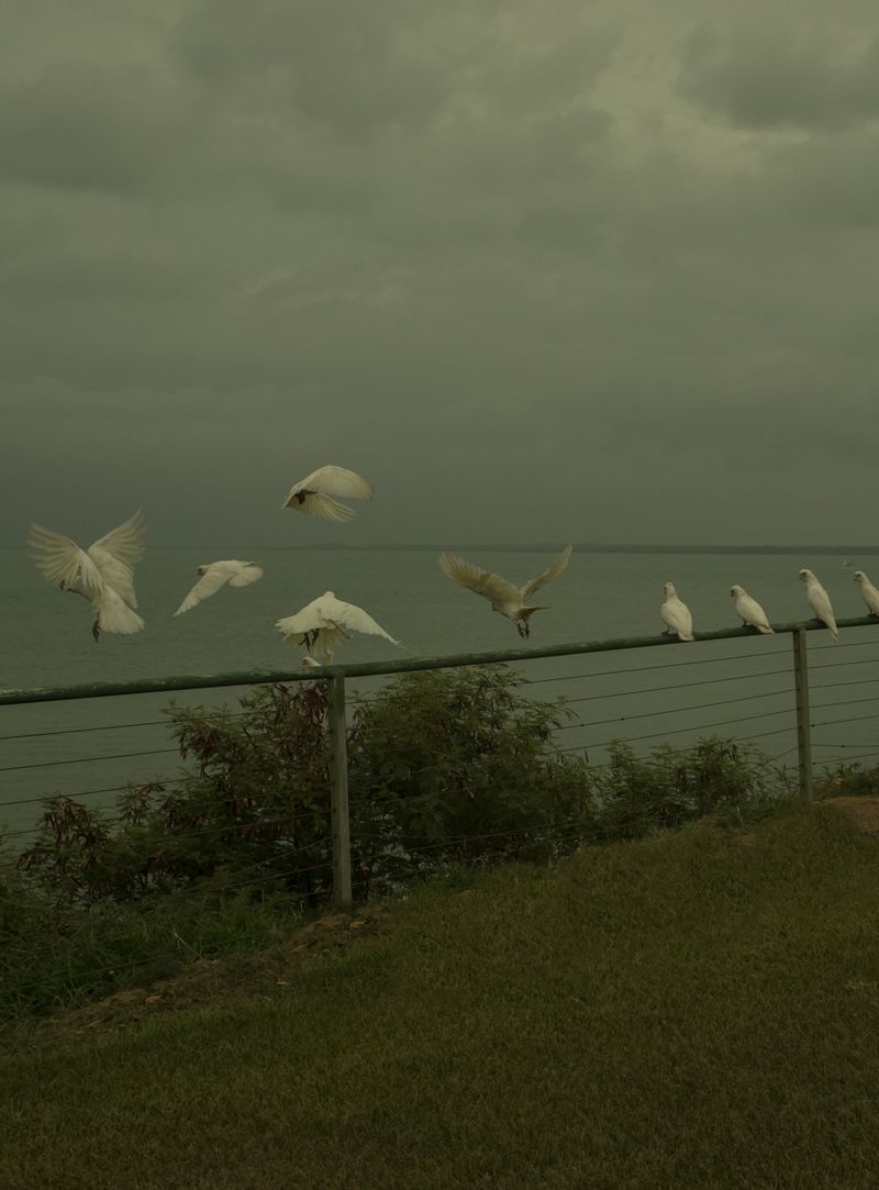 © Abigail  Varney  - Image from the The build up photography project