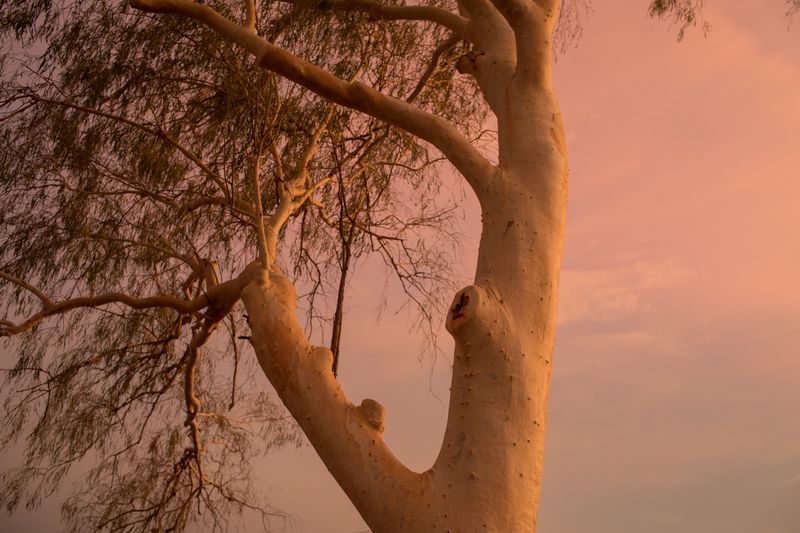 © Abigail  Varney  - Image from the The build up photography project