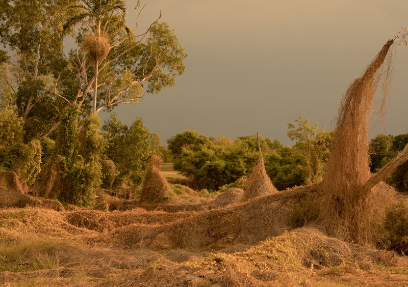 © Abigail  Varney  - Image from the The build up photography project