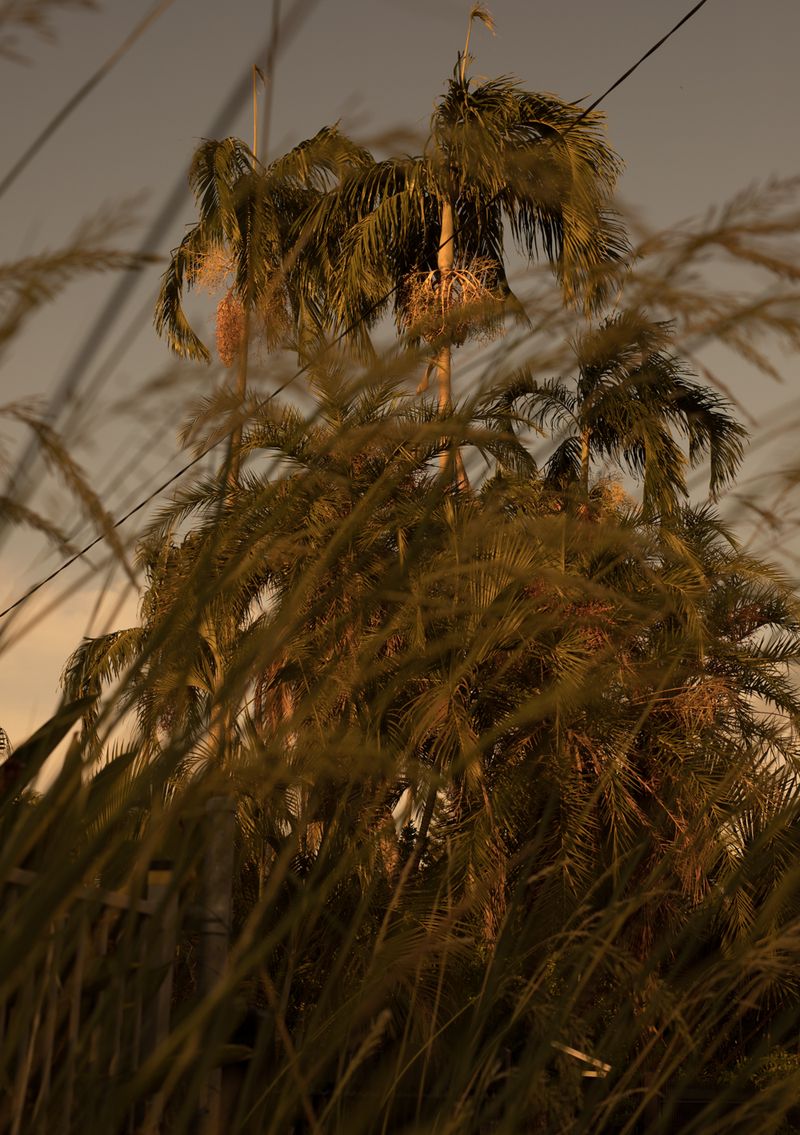 © Abigail  Varney  - Image from the The build up photography project