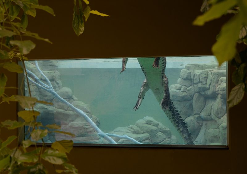 © Abigail  Varney  - Image from the The build up photography project