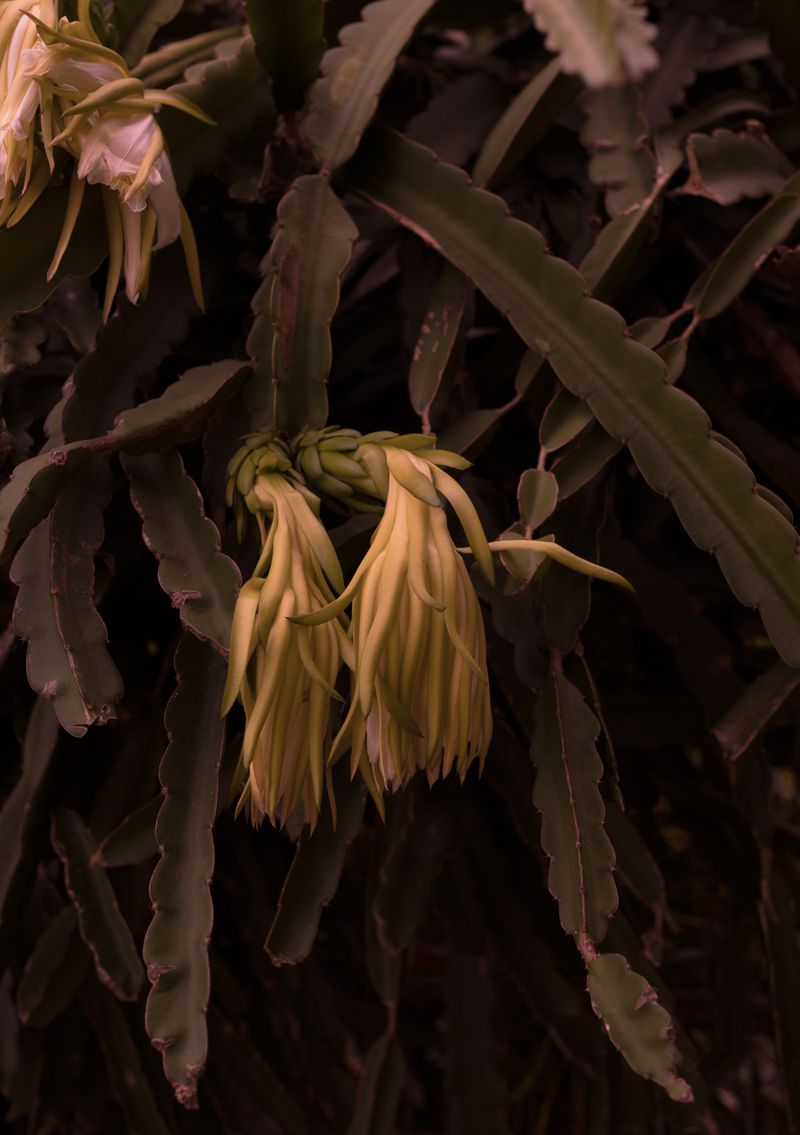 © Abigail  Varney  - Image from the The build up photography project