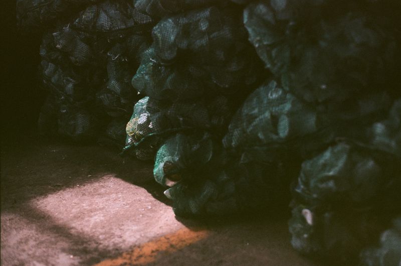 © Paola De Gregorio - Image from the Plastic Reimagined. Art, Waste, and the Struggle for Balance in Indonesia photography project