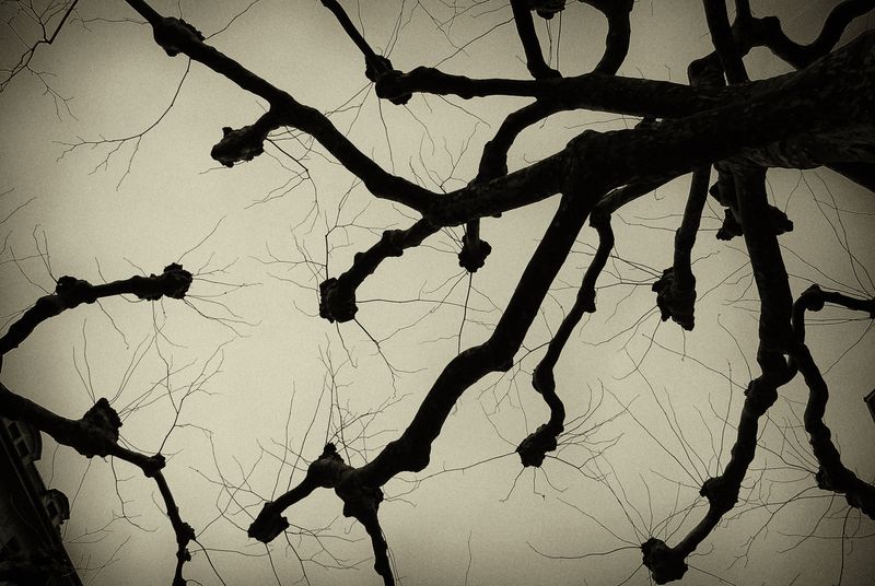 © Nazia Akram - 46°26′n 6°33′e Lake Geneva, Coordinates