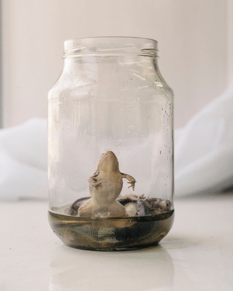 © Nanna Heitmann - Image from the Hiding from Baba Yaga photography project