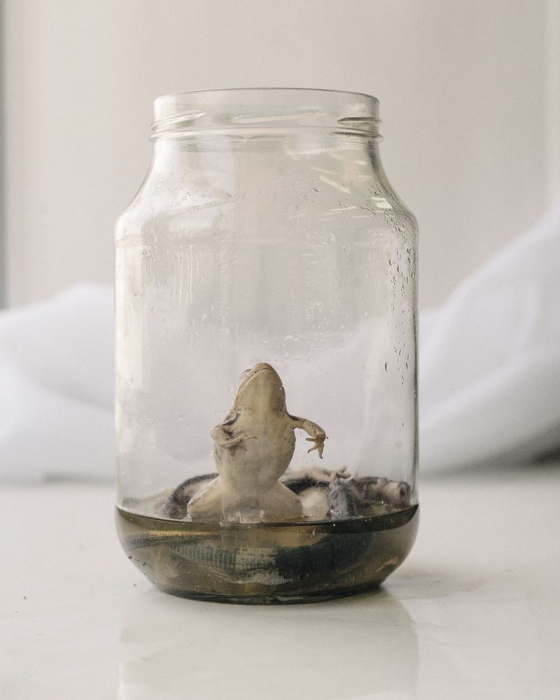 © Nanna Heitmann - Image from the Hiding from Baba Yaga photography project