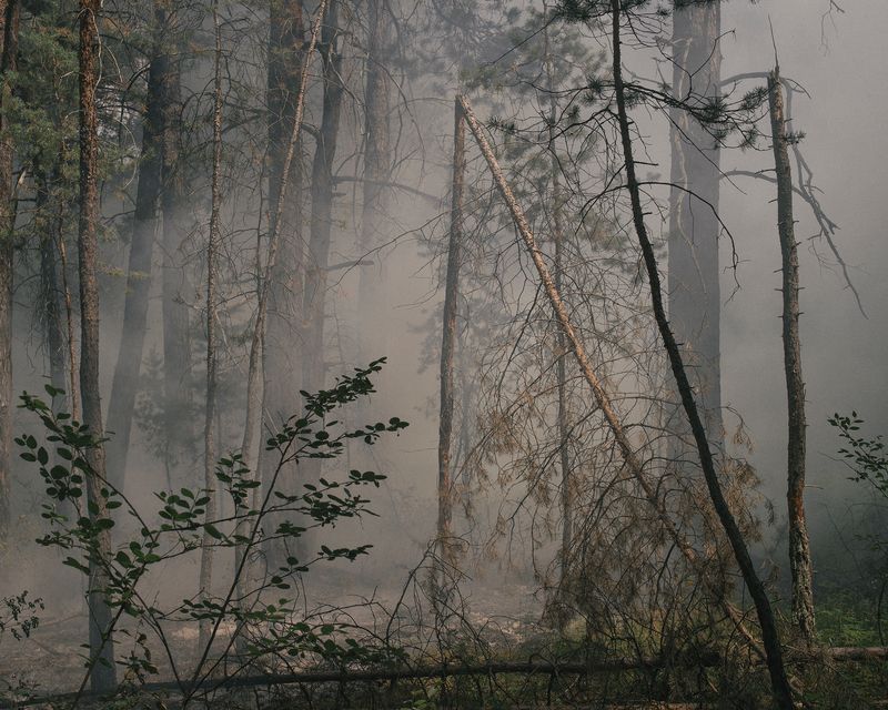 © Nanna Heitmann - Image from the Hiding from Baba Yaga photography project