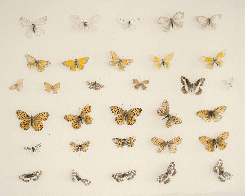 © Nanna Heitmann - Image from the Hiding from Baba Yaga photography project