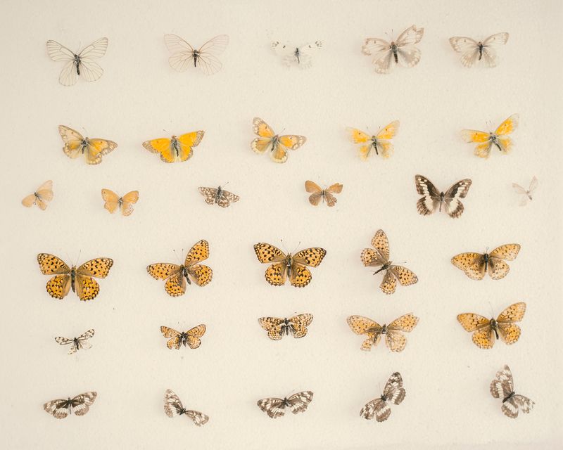 © Nanna Heitmann - Image from the Hiding from Baba Yaga photography project