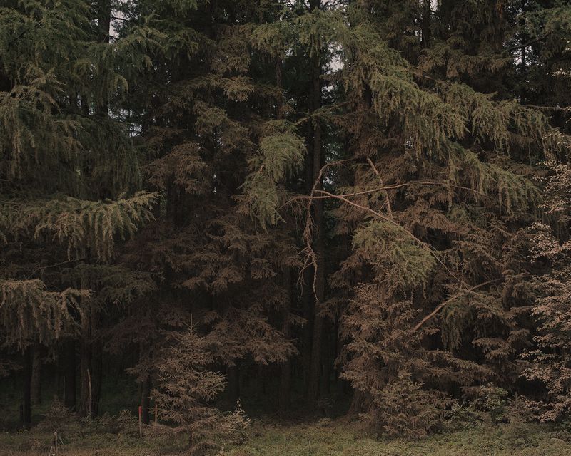 © Nanna Heitmann - Image from the Hiding from Baba Yaga photography project