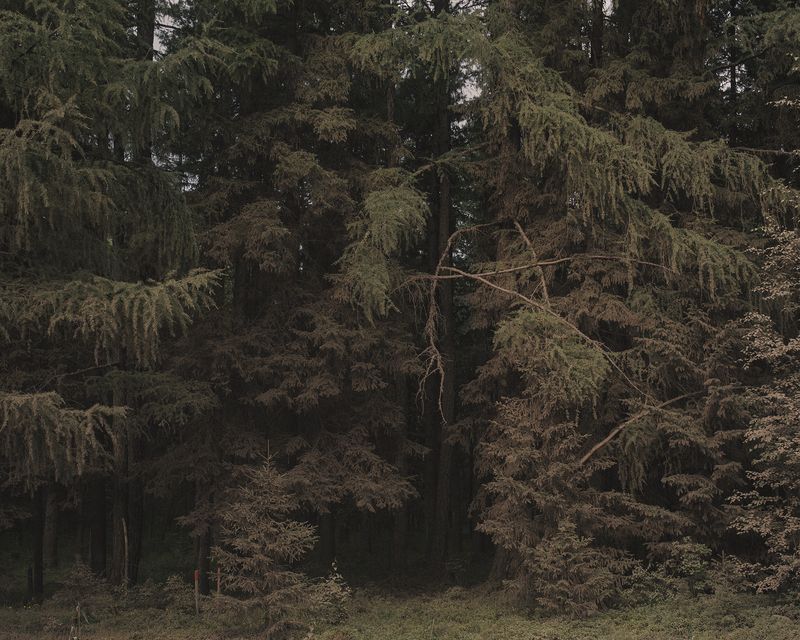 © Nanna Heitmann - Image from the Hiding from Baba Yaga photography project