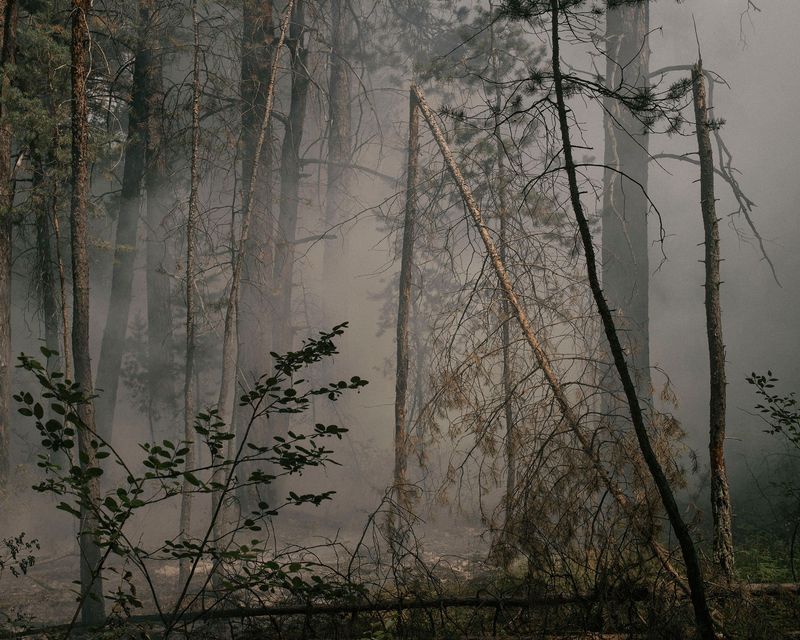 © Nanna Heitmann - Image from the Hiding from Baba Yaga photography project