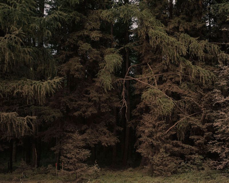 © Nanna Heitmann - Image from the Hiding from Baba Yaga photography project