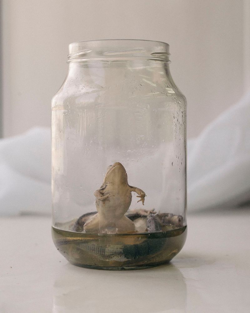 © Nanna Heitmann - Image from the Hiding from Baba Yaga photography project