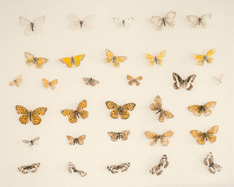 © Nanna Heitmann - Image from the Hiding from Baba Yaga photography project