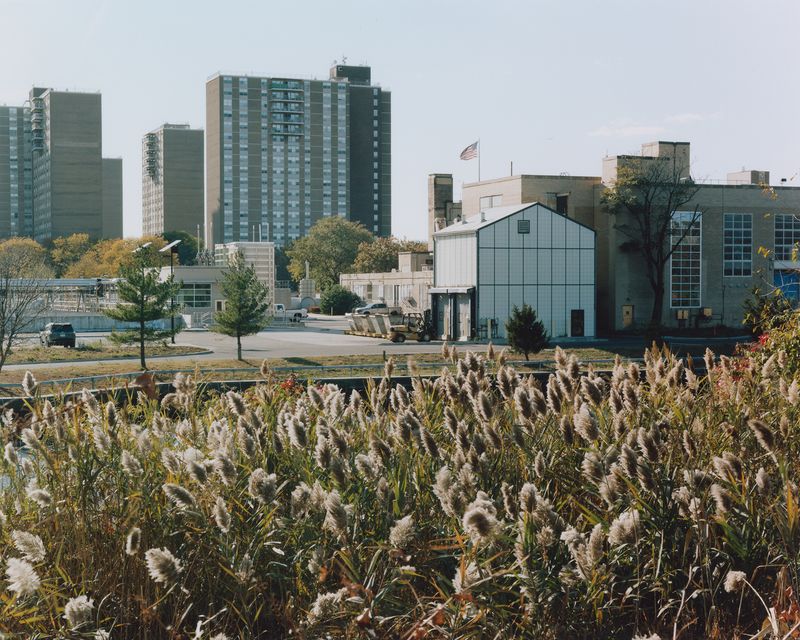 © Ryuta Hironaga - Autumn,C-print 30.4x40.6cm