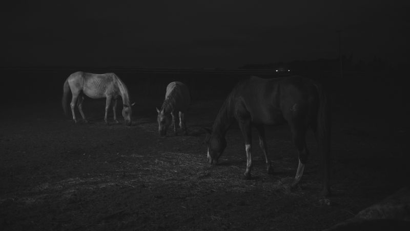 © doglas missel - Image from the Remnants photography project