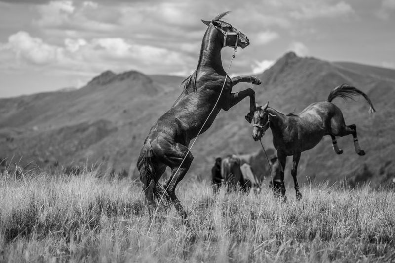 © Uriel Montúfar - Image from the Riders of Wind and Altitude photography project