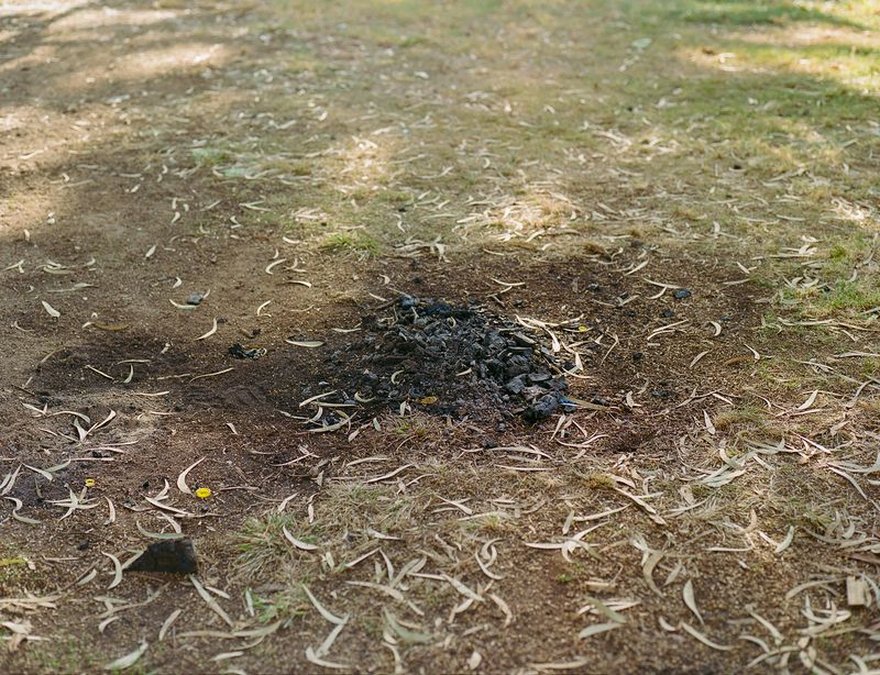 © Ravid Lander - Image from the Hope should be a minefield photography project