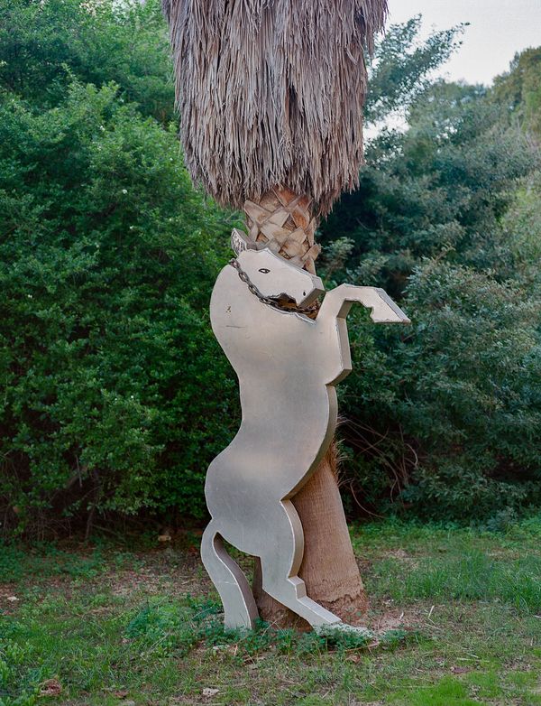 © Ravid Lander - Image from the Hope should be a minefield photography project