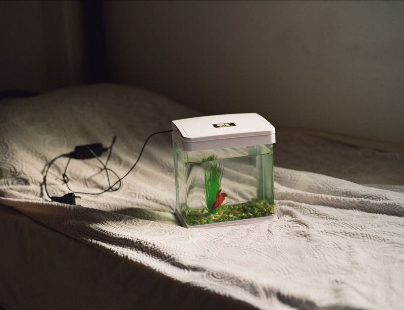 © Ravid Lander - Image from the Hope should be a minefield photography project