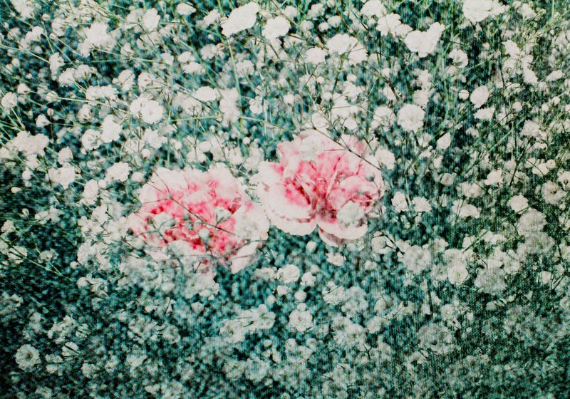 © Takaya Mukai - Silence