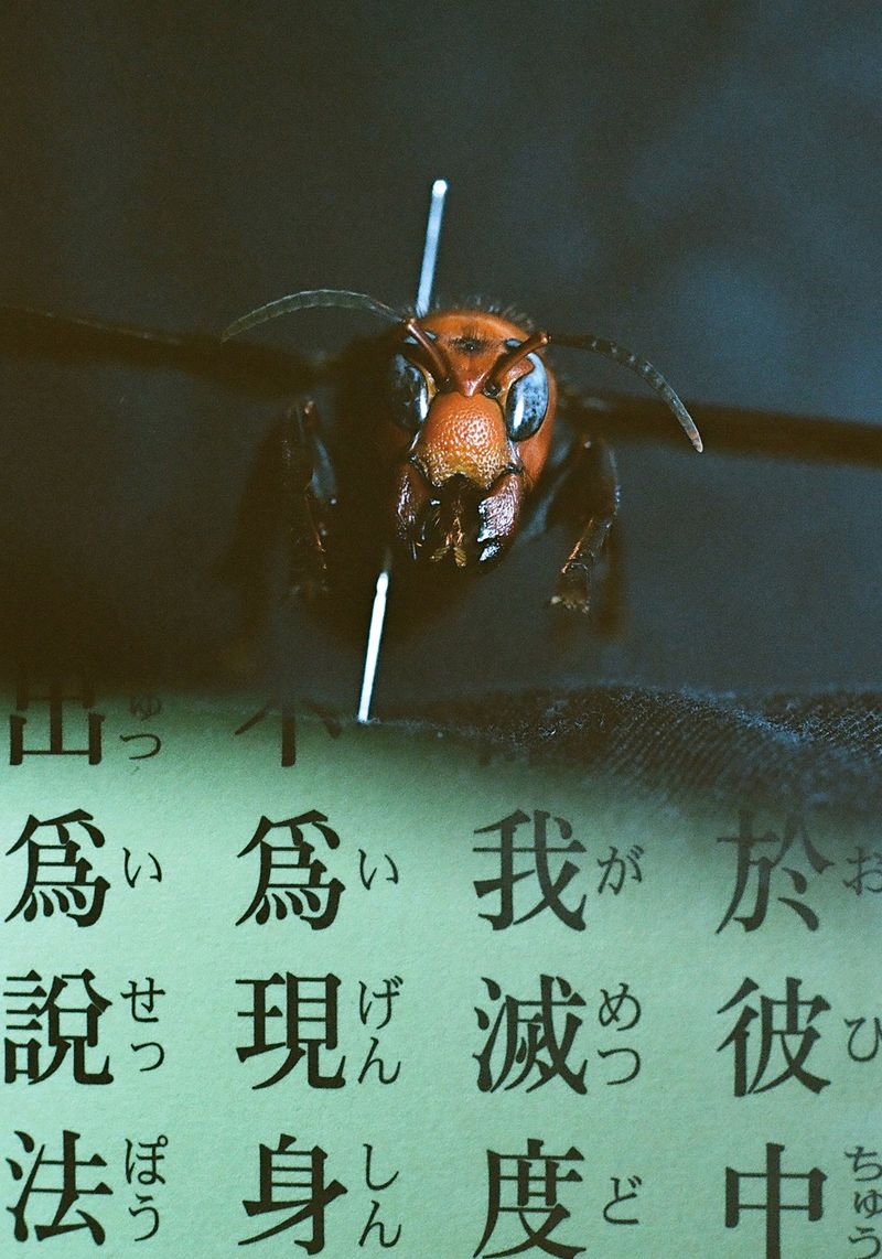 © Takaya Mukai - Poison