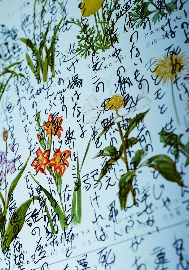 © Takaya Mukai - Garden