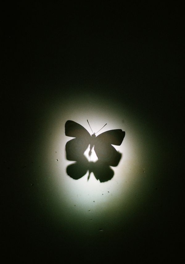 © Takaya Mukai - Moon