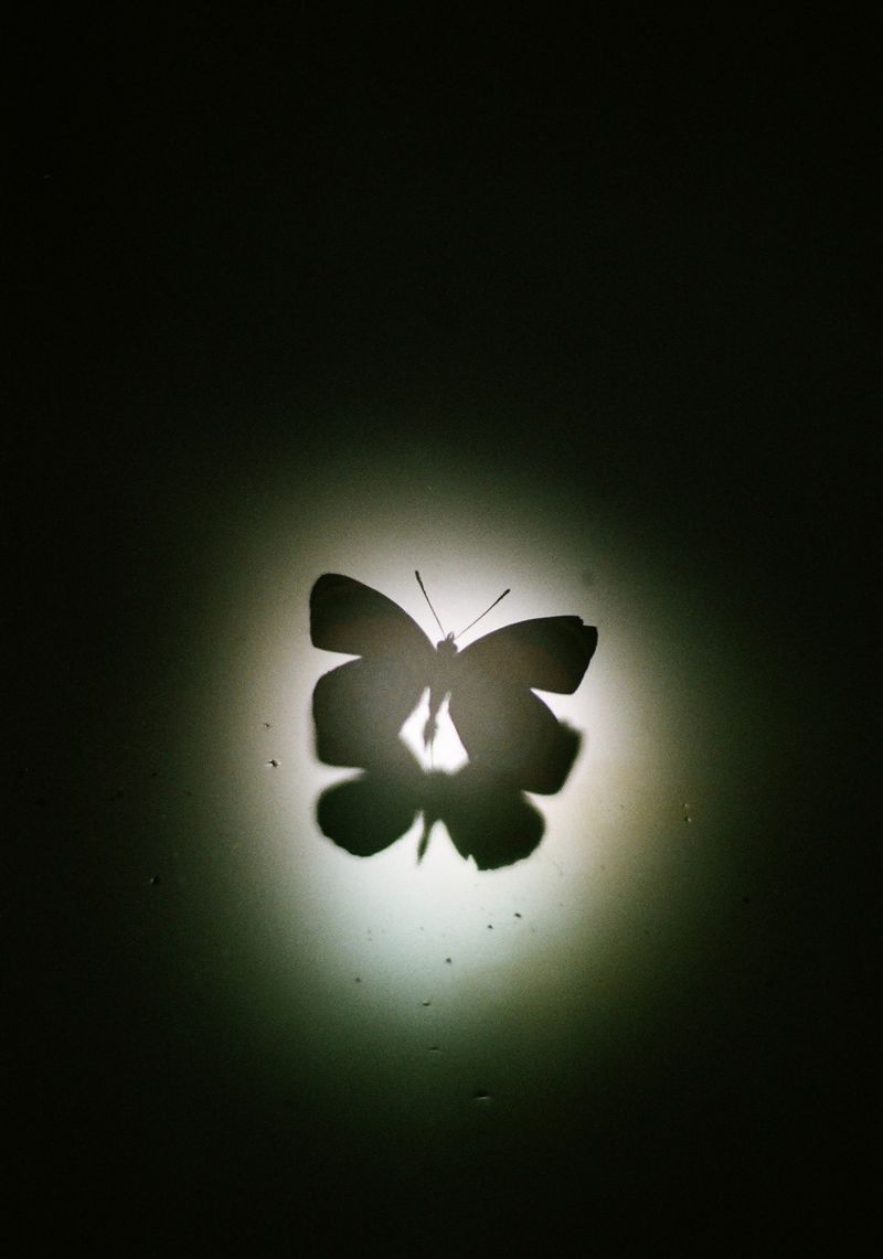 © Takaya Mukai - Moon