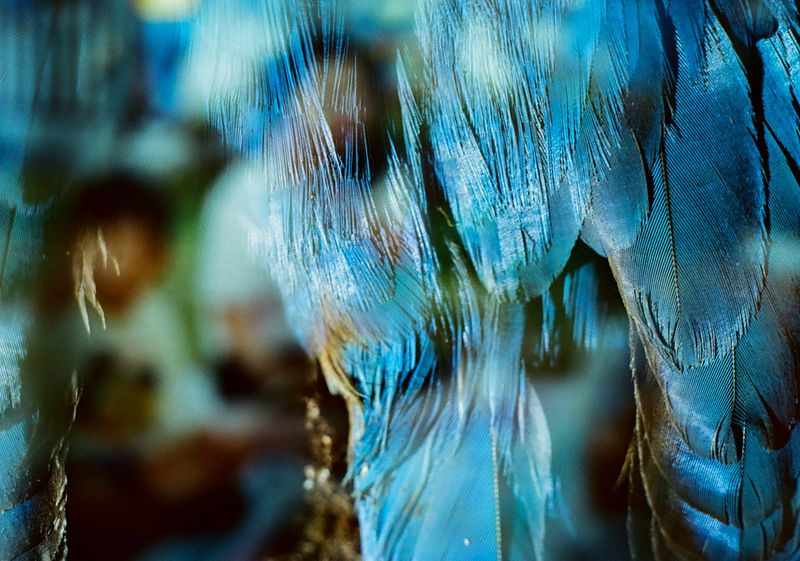 © Takaya Mukai - Ground