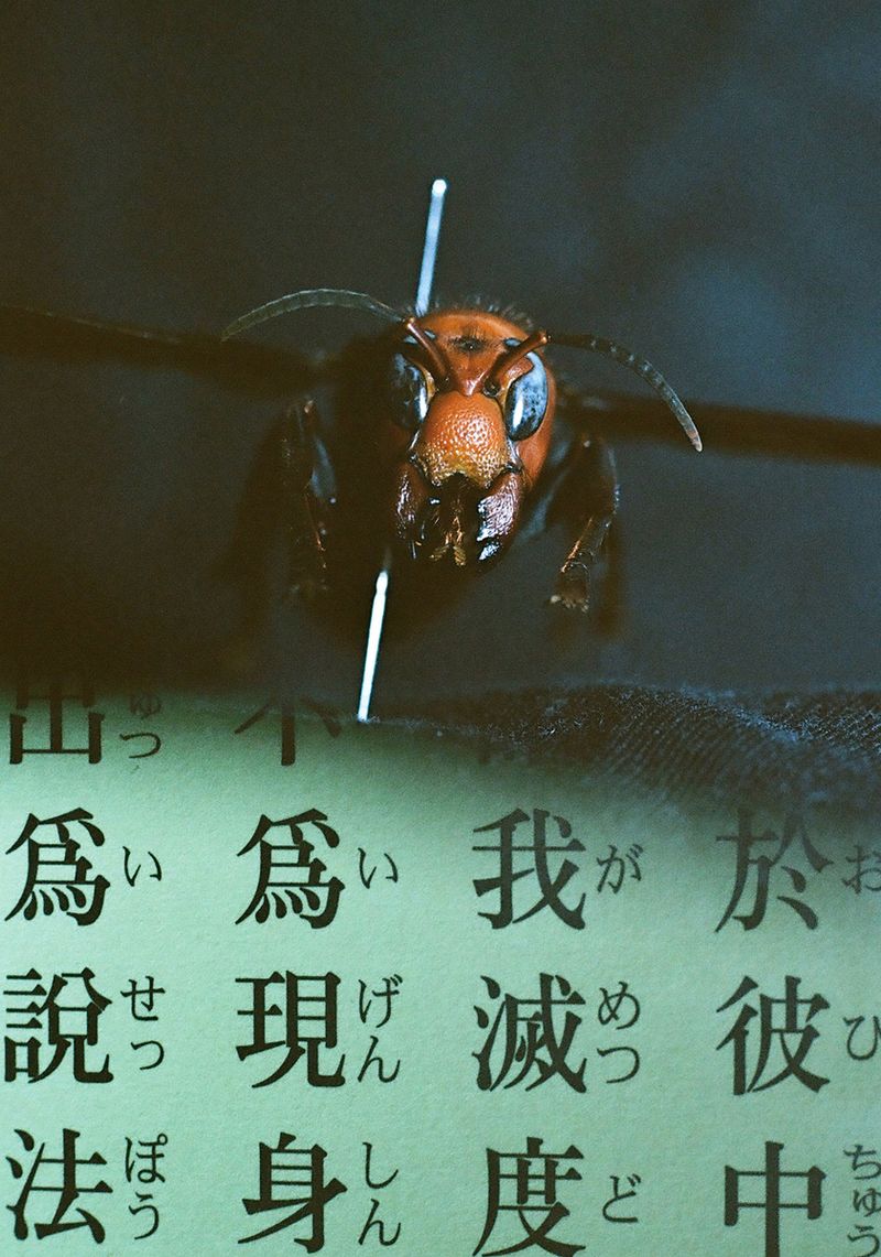 © Takaya Mukai - Poison