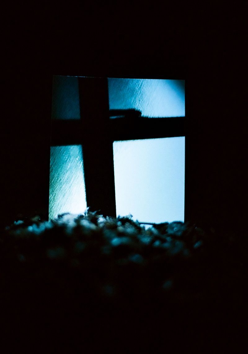 © Takaya Mukai - Window