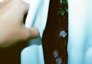 Solitary Garden and Room Night