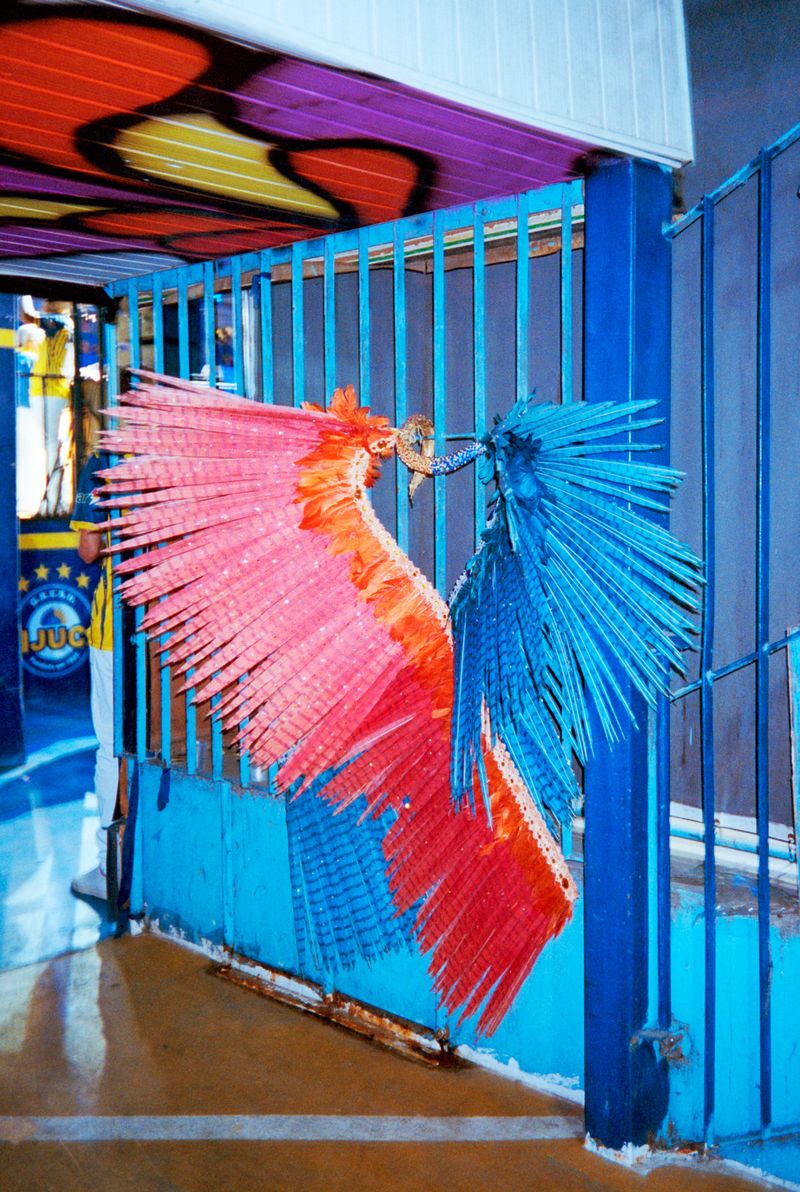 © Mahaut De Castet - Image from the Gira Passista photography project