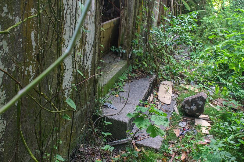 © Danielle Sargeant - Image from the The Day After Tomorrow photography project