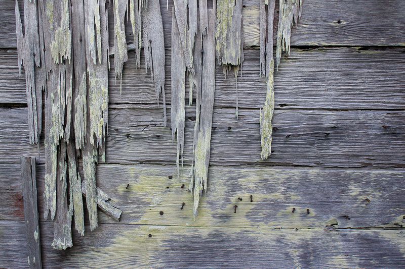 © Danielle Sargeant - Image from the The Day After Tomorrow photography project