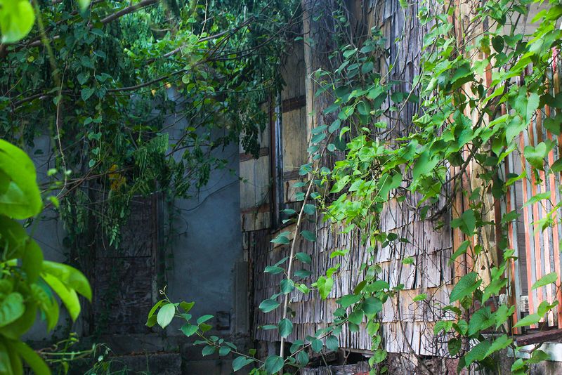 © Danielle Sargeant - Image from the The Day After Tomorrow photography project