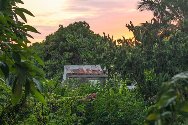 © Danielle Sargeant - Image from the The Day After Tomorrow photography project