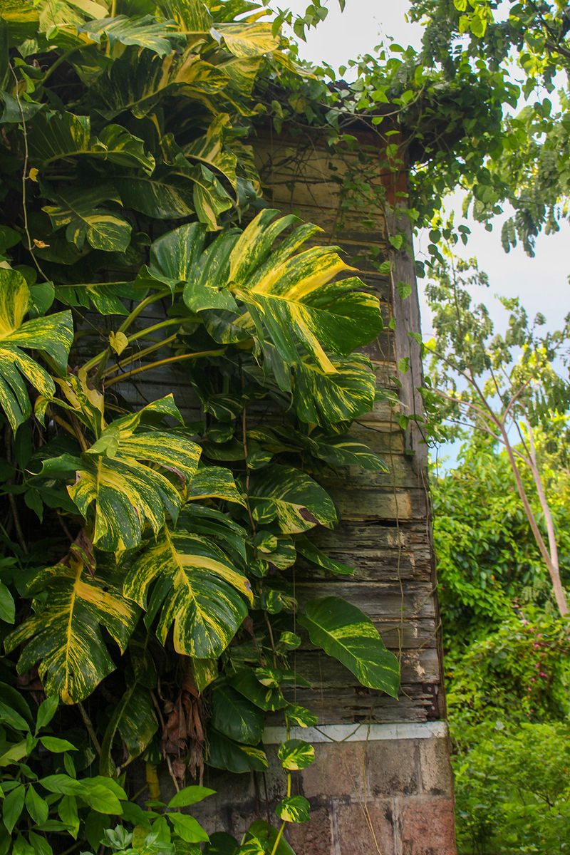 © Danielle Sargeant - Image from the The Day After Tomorrow photography project