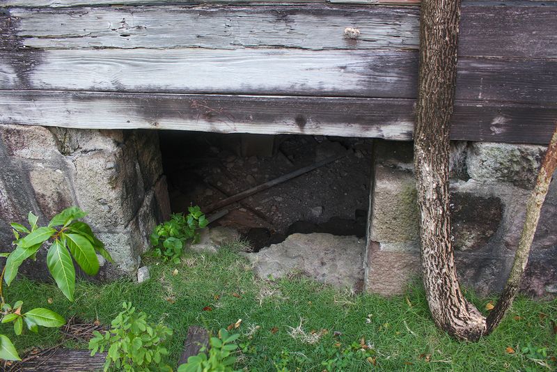 © Danielle Sargeant - The cellar. Its entrance is on the left side of the house, which is no longer accessible due to the overgrowth.
