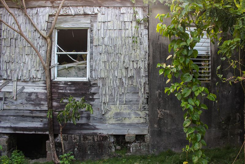 © Danielle Sargeant - Image from the The Day After Tomorrow photography project