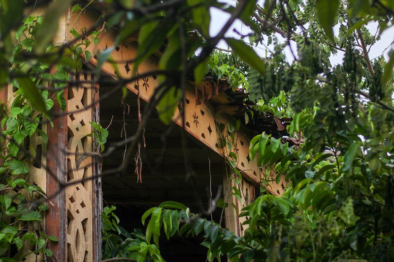 © Danielle Sargeant - Image from the The Day After Tomorrow photography project