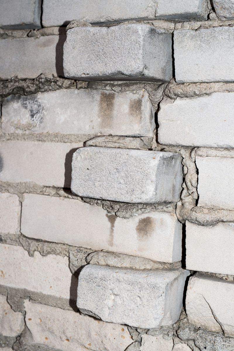 © Ela Polkowska - Image from the Firmly Pinch The Skin Together photography project