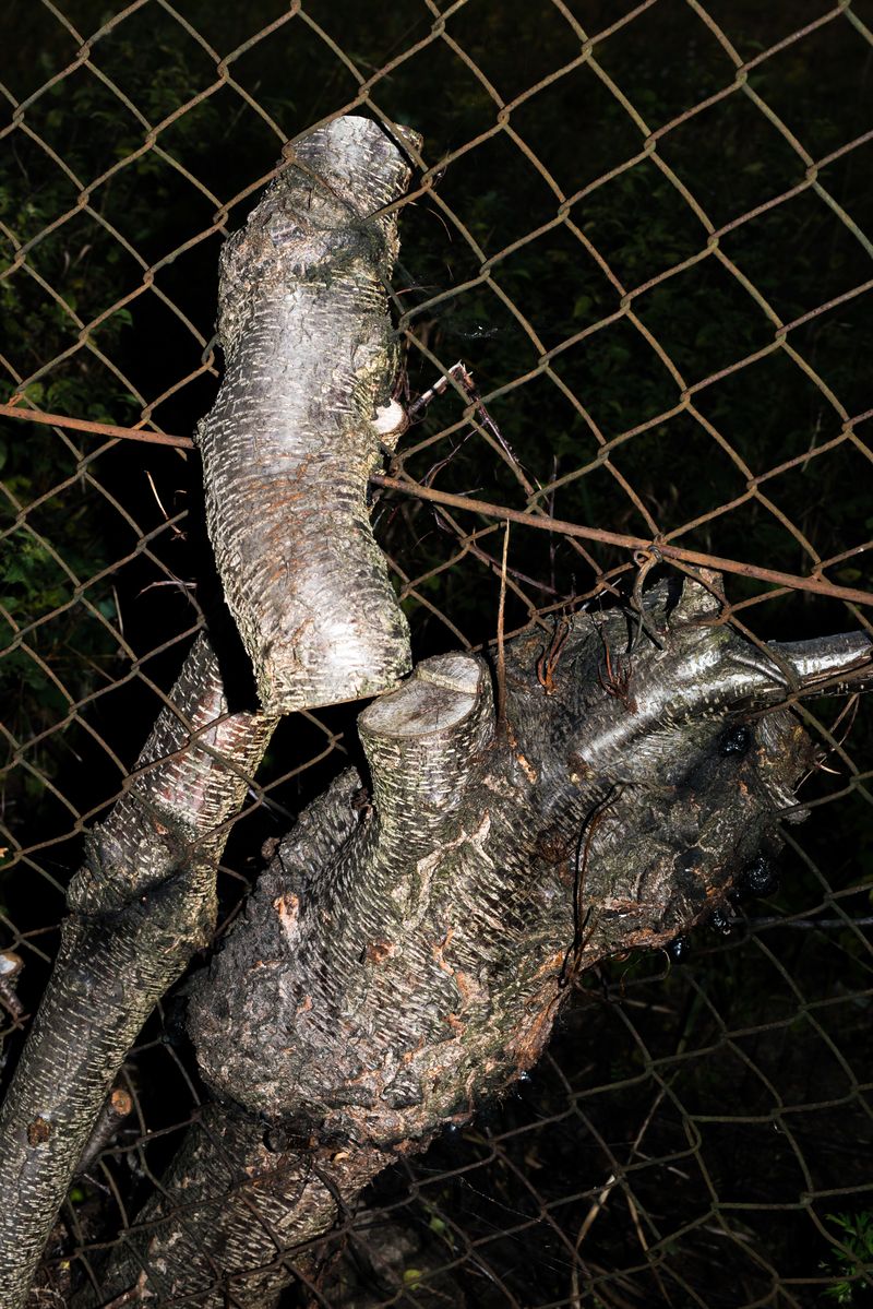 © Ela Polkowska - Image from the Firmly Pinch The Skin Together photography project