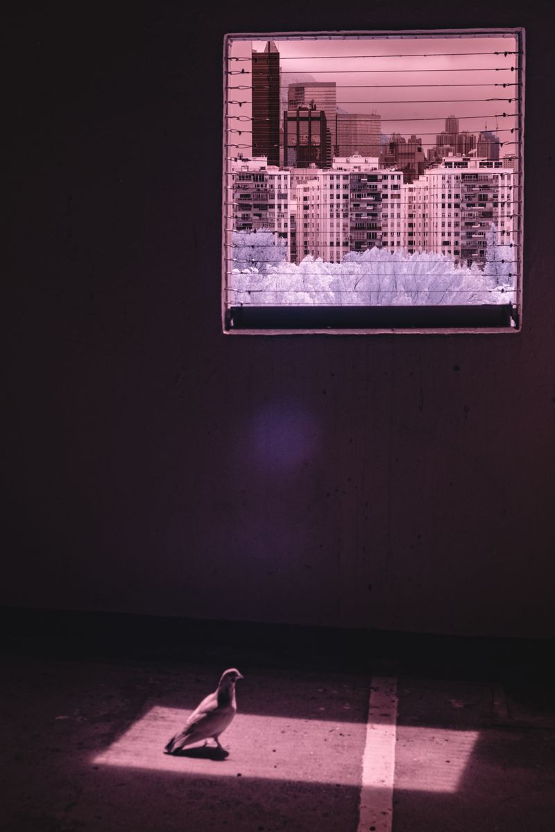 © Hoi Kin Fung - Image from the The young lad says: Nothing happened photography project